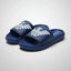 Blue slides with white logo on a light gray background