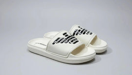 White slides with black text on a gray background